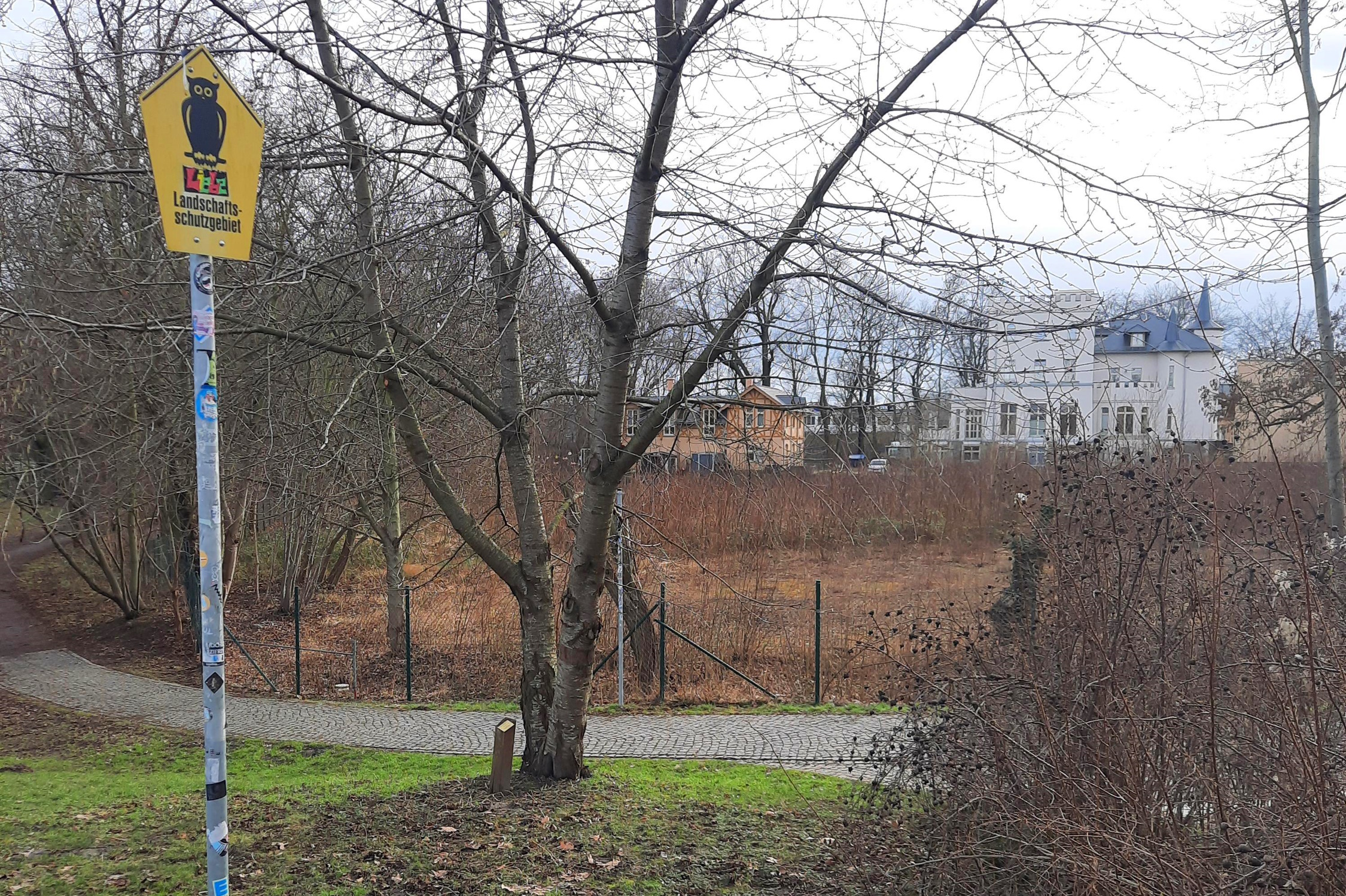 Zu sehen ist das noch unbebaute Gelände des ehemaligen Rittergutes Kleinzschocher. Foto: Ökolöwe