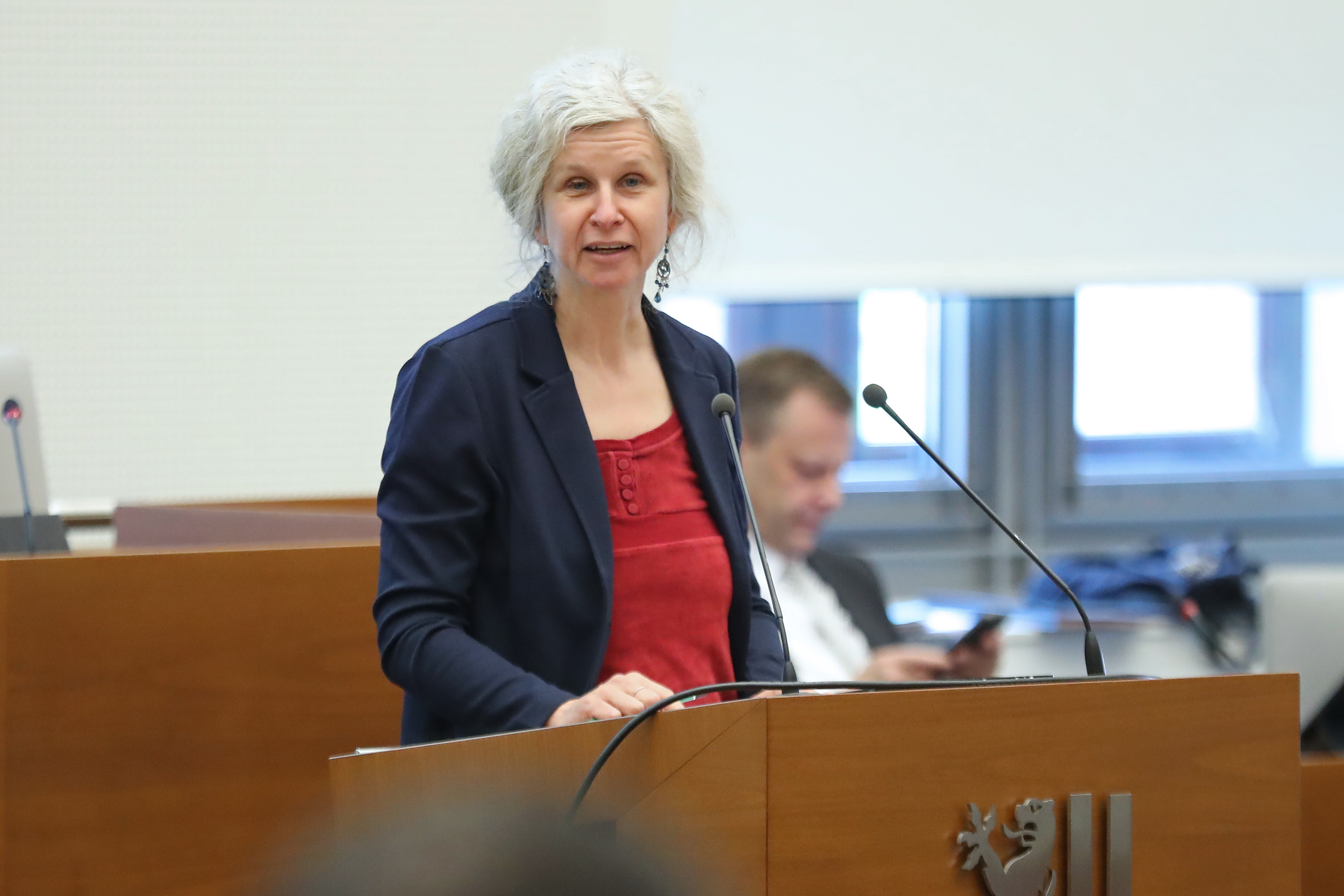 Frau Anna Schneider-Kaleri (Bündnis 90/Die Grünen) im Leipziger Stadtrat am 24.04.24. Foto: Jan Kaefer