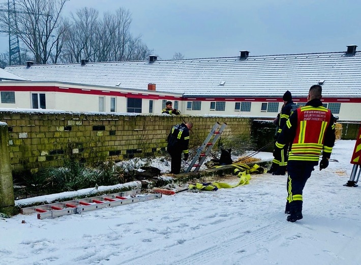 FW-GE: Pferd in Mistgrube gefallen - durch Feuerwehr gerettet