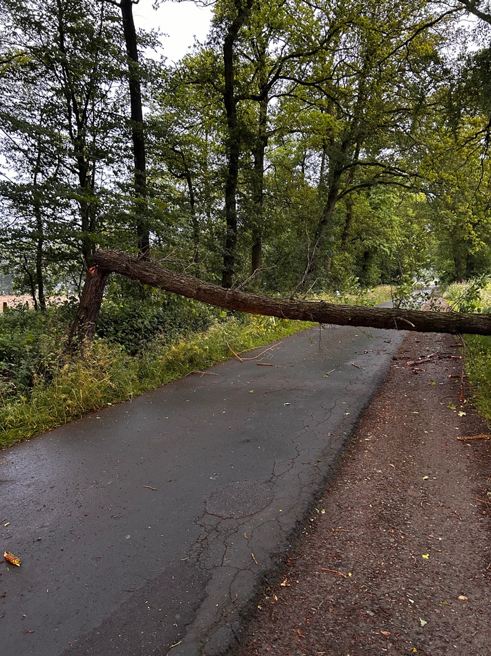 FW-Schermbeck: Sturmschaden