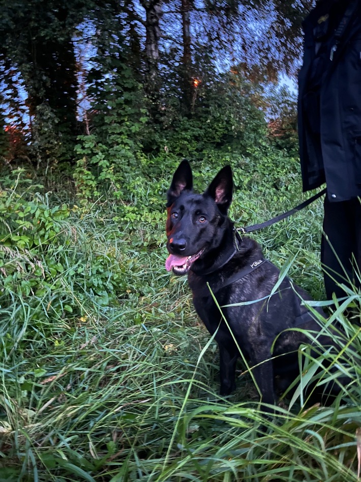 POL-DU: Overbruch: Polizeihund Cooper findet mutmaßlichen Einbrecher