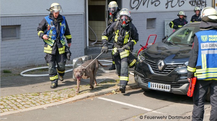 FW-DO: Hund aus Brandwohnung gerettet