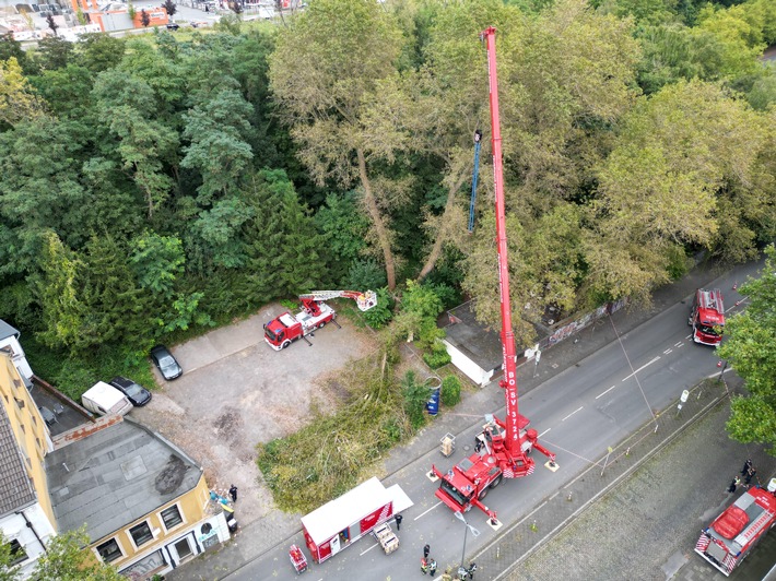 FW-BO: Abgebrochener Baum verursacht längeren Feuerwehreinsatz