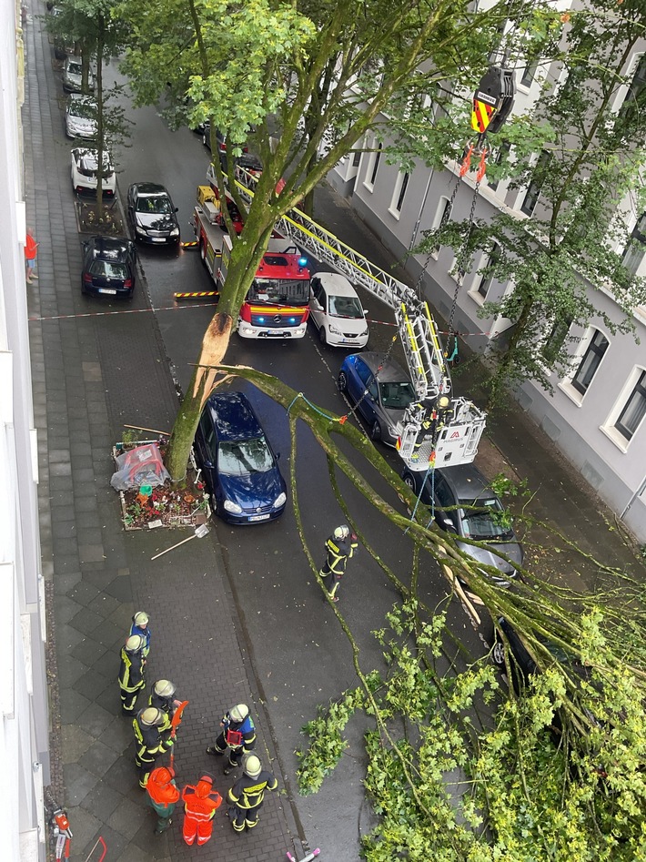 FW-DO: Abgeknickter Baum zerstört drei PKW und einen Motorroller