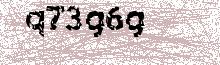 Reload Image
